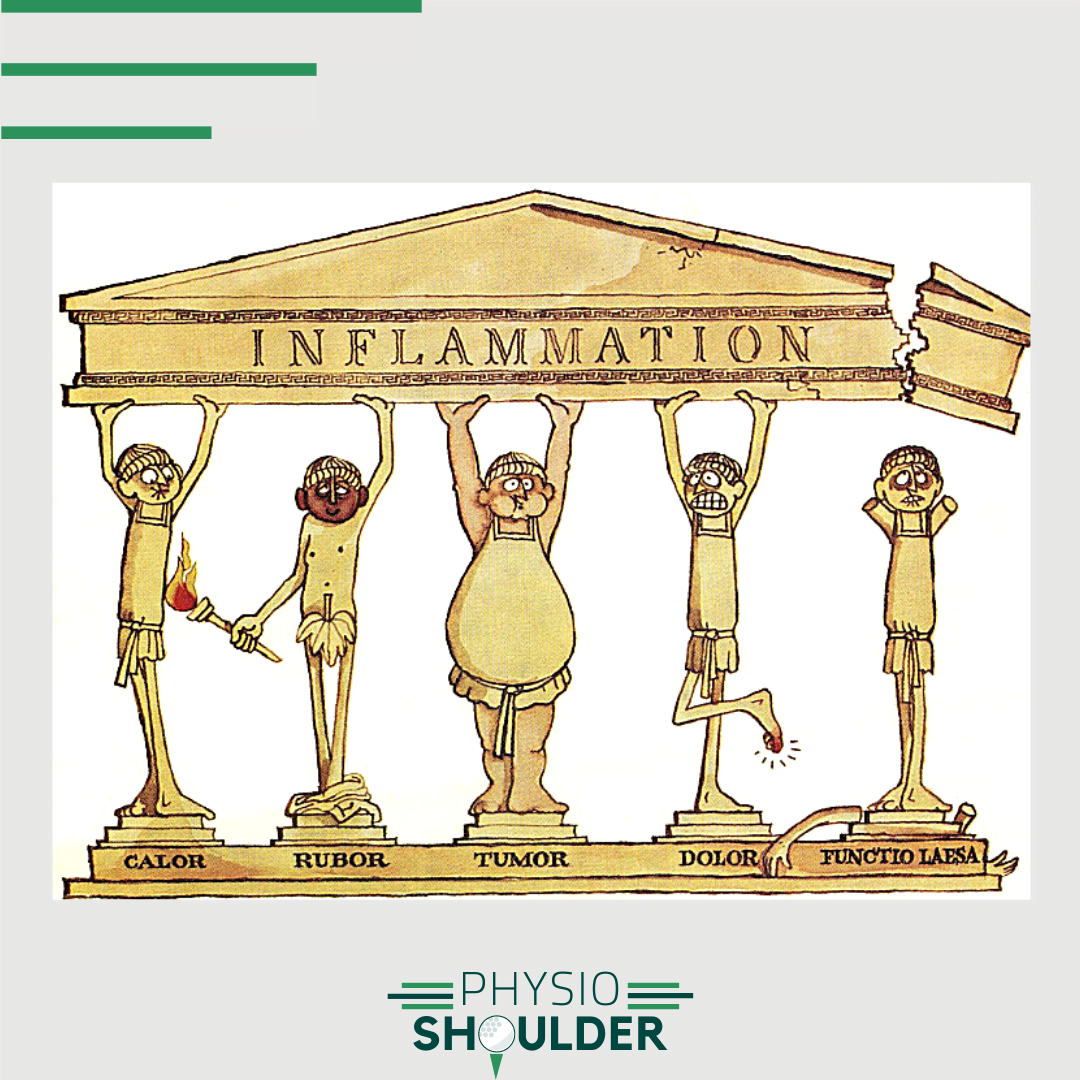 Calor Rubor Tumor Dolor Functio Lesa